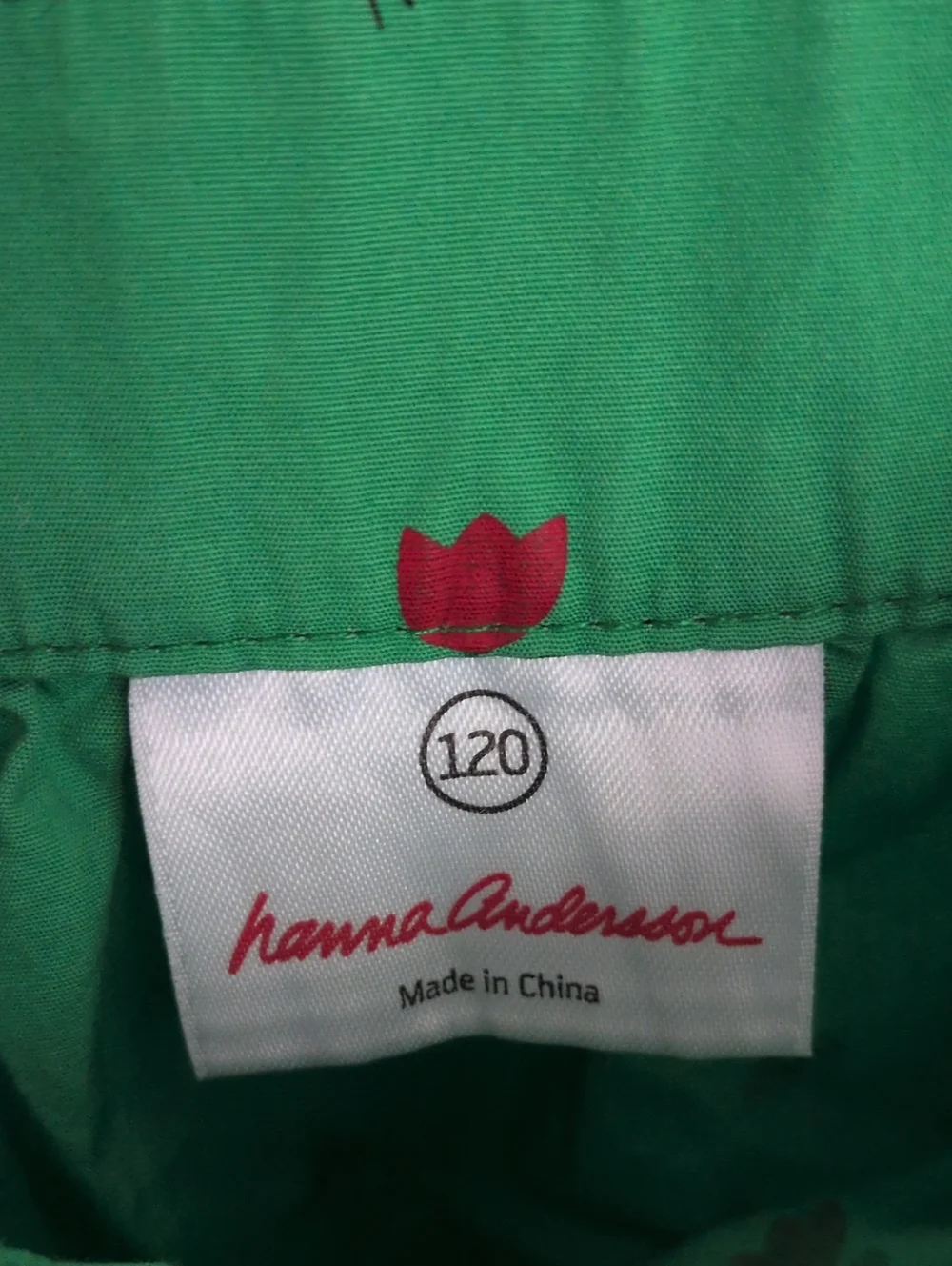 Hanna Andersson Green Shift Dress - Tulips & Bees - 120